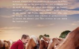 Une campagne pour soutenir les éleveurs laitiers