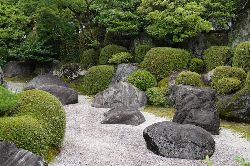 découvrez la sérénité et l'harmonie d'un jardin zen, un espace paisible conçu pour la méditation et la relaxation.